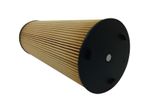 FILTRO-DIESEL-NTG