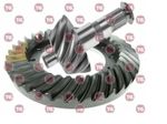 COROA-PINHAO-12X37-R770-780