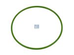 ANEL-MORINGA-CAMBIO-S4-PGR