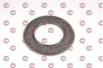 DISCO-ACOPLAMENTO-CONJUNTO-1--8-FUROS-PGR-GR900