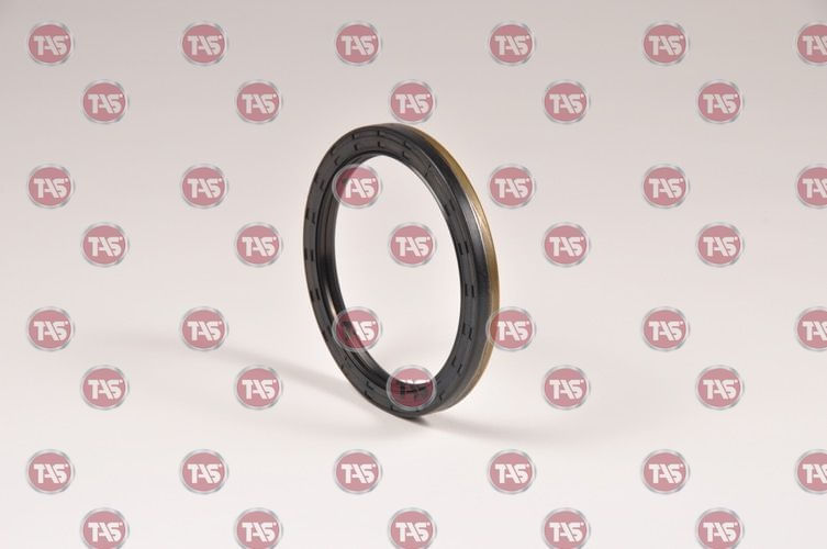 RETENTOR-FLANGE-EXTERNO-CAMBIO-ZF